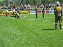 bild (40)